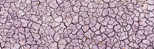 329: Cracked mud in Death Valley