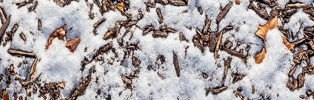 333: Snow on mulch