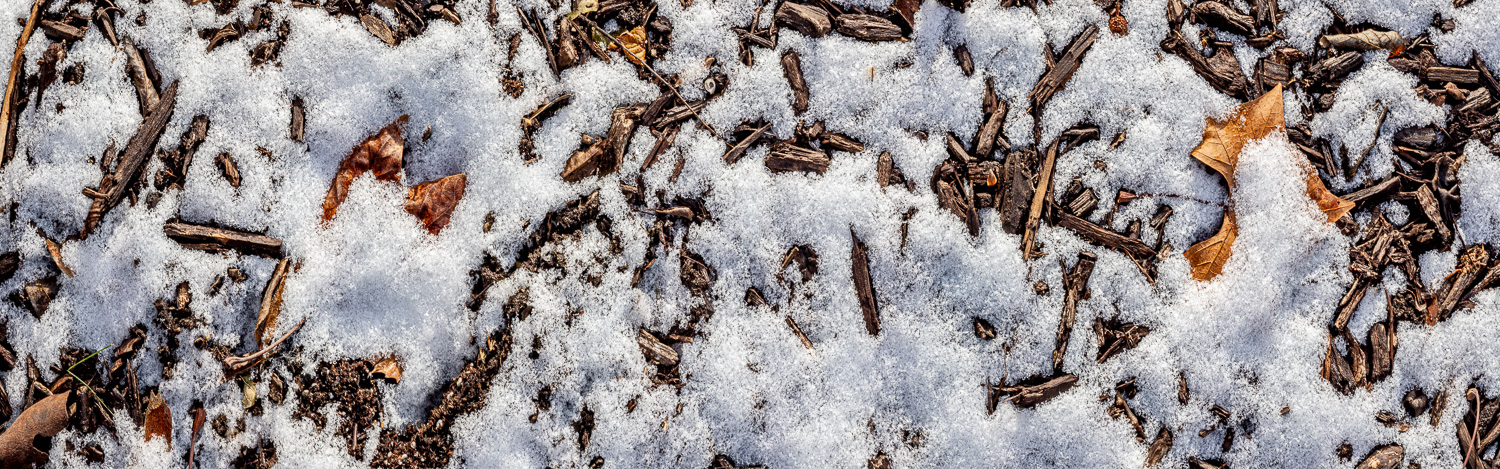 161: Snow on mulch